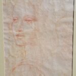 Sanguina volto di donna disegno su carta